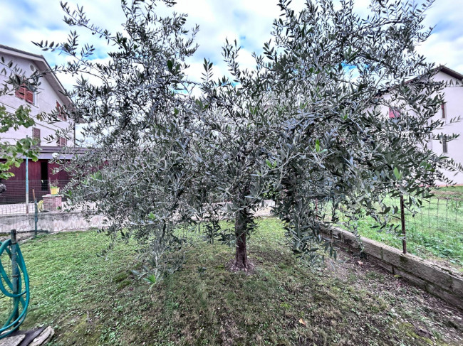 Casa singola in vendita a Montecassiano