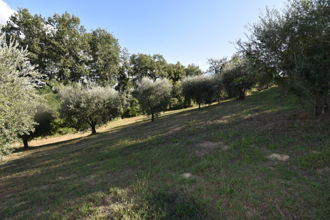 Casale in vendita a Sant'Angelo in Pontano