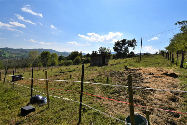 Casale in vendita a Penna San Giovanni