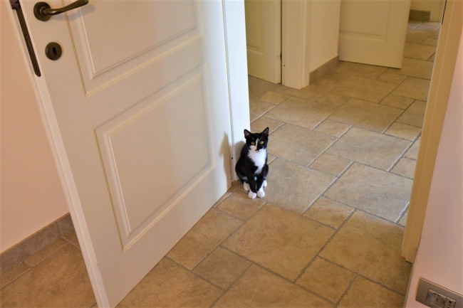 Casa cielo-terra in vendita a Servigliano