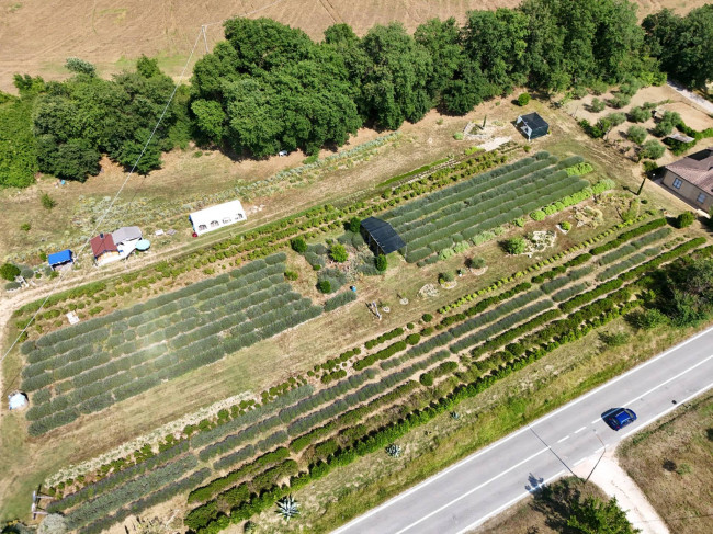 Casa cielo-terra in vendita a Servigliano