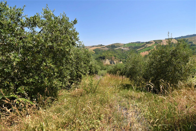 Casa colonica in vendita a Ripatransone