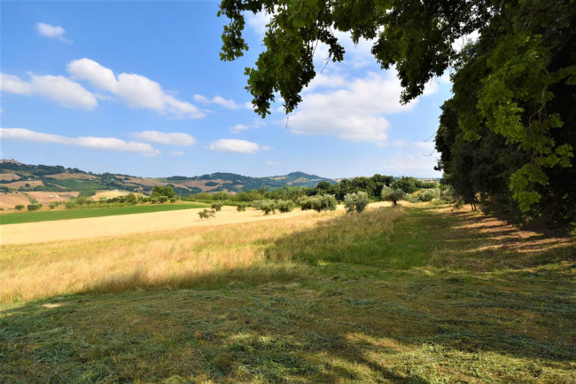 Casale in vendita a Servigliano