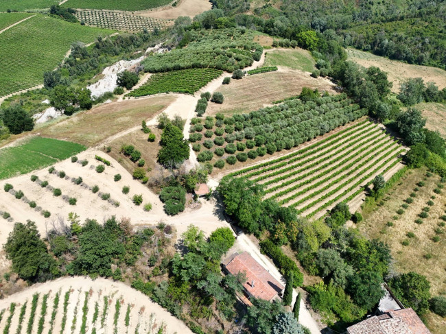 Casa colonica in vendita a Ripatransone