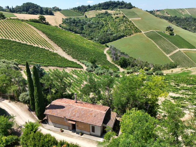 Casa colonica in vendita a Ripatransone