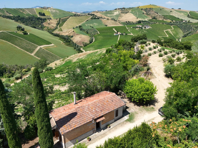 Casa colonica in vendita a Ripatransone