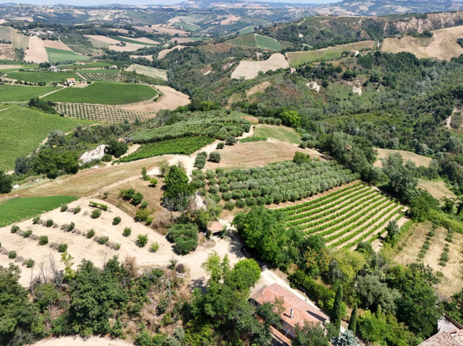 Casa colonica in vendita a Ripatransone