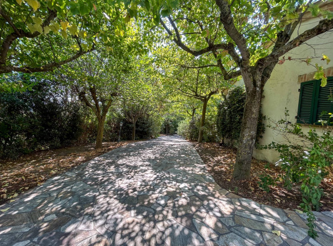 Villa in vendita a Montelupone
