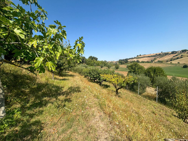Villa in vendita a Montelupone