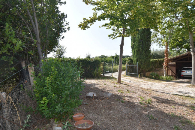 Casale in vendita a Servigliano