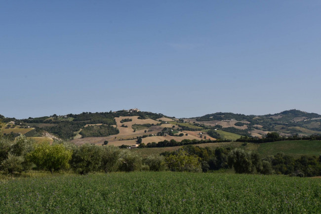 Casale in vendita a Servigliano