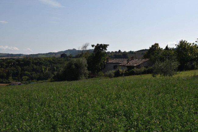 Casale in vendita a Servigliano