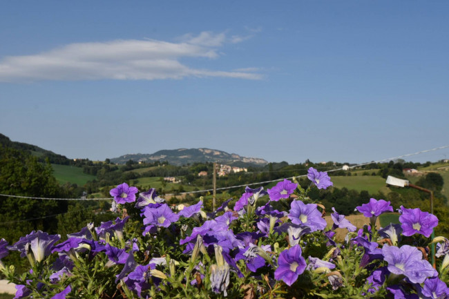 Villa in vendita a Montefortino