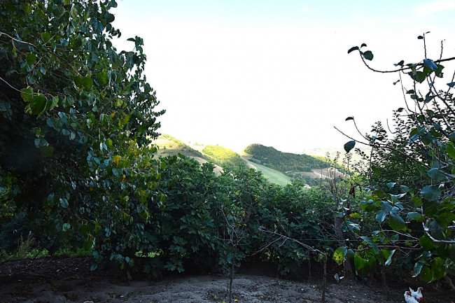 Rustico in vendita a Amandola