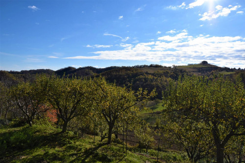 Appartamento in vendita a Montemonaco