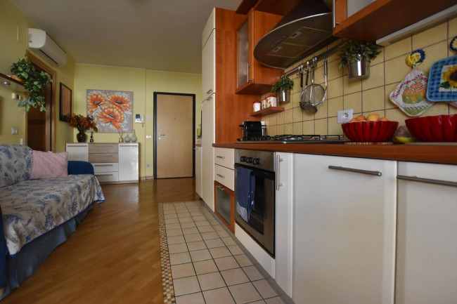  for rent in Cupra Marittima