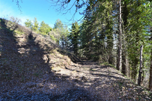 Villa in vendita a Montefortino