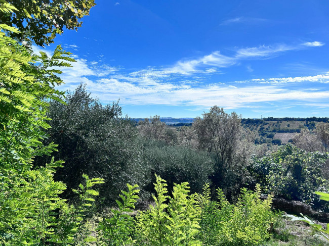 Casa singola in vendita a Civitanova Marche