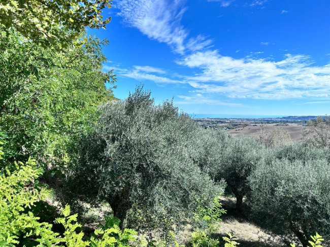 Casa singola in vendita a Civitanova Marche