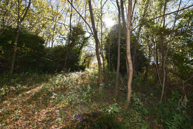 Detached House for sale in Amandola