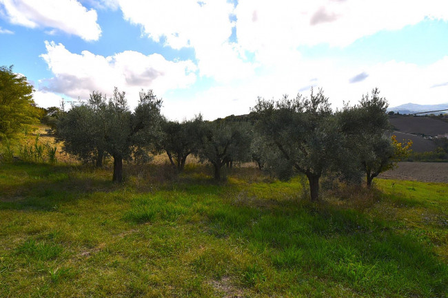 Casa singola in vendita a Falerone
