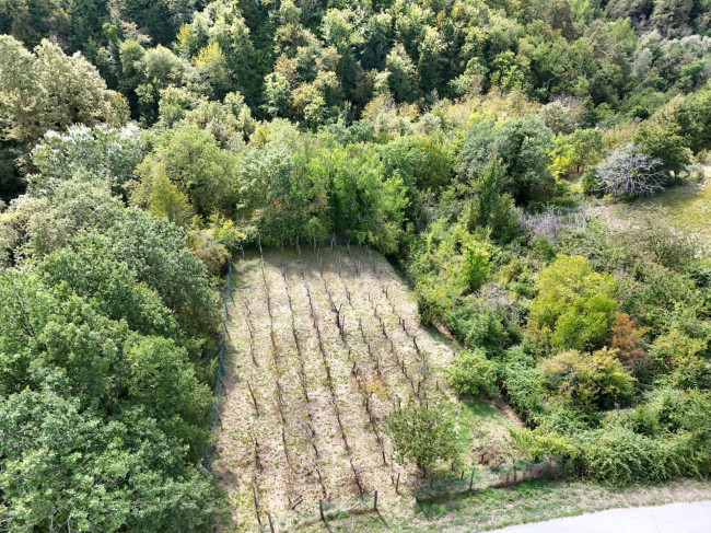 деревенский дом на продажу в Amandola