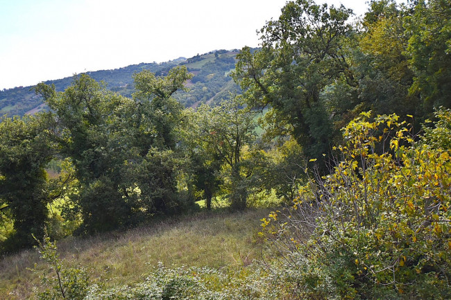 сельский дом на продажу в Montefalcone Appennino