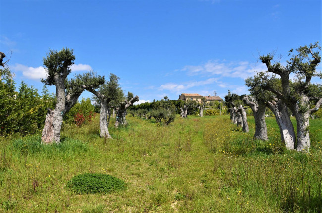 Casale in vendita a Recanati