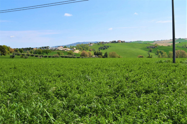 Casale in vendita a Recanati