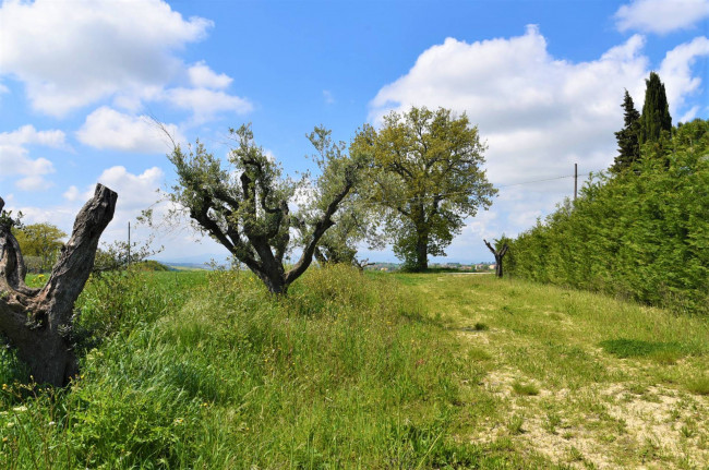 Casale in vendita a Recanati