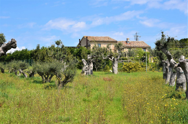 Casale in vendita a Recanati