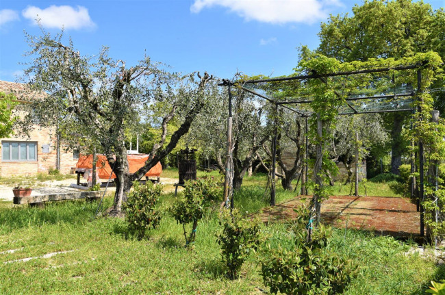 Casale in vendita a Recanati