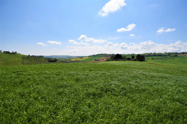 Casale in vendita a Recanati