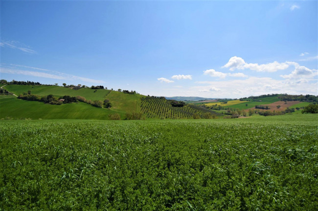 Casale in vendita a Recanati