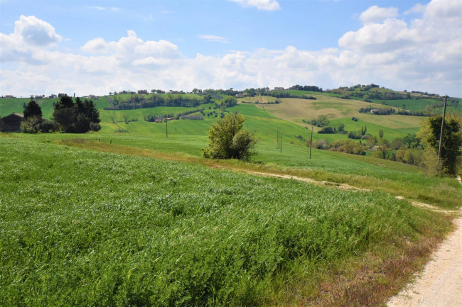 Casale in vendita a Recanati