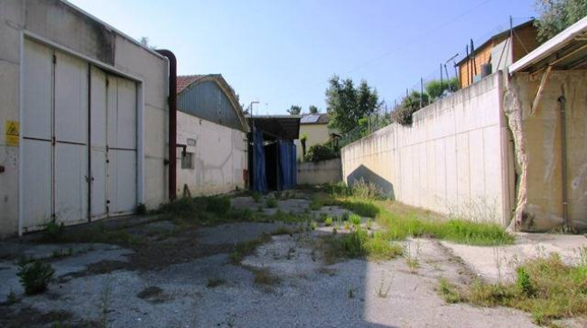 Capannone in vendita a Treia