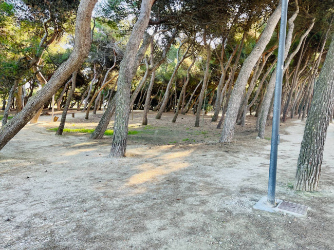 Appartamento in vendita a Porto Sant'Elpidio