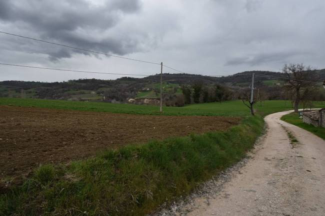 Terreno Agricolo in vendita a Sarnano