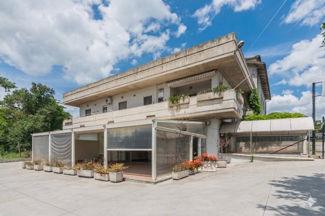 Locale commerciale in Vendita a Pollenza