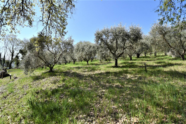 Casale in vendita a Falerone