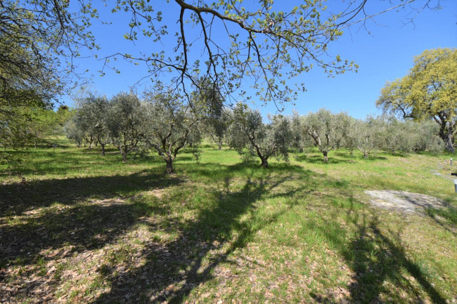 Casale in vendita a Falerone