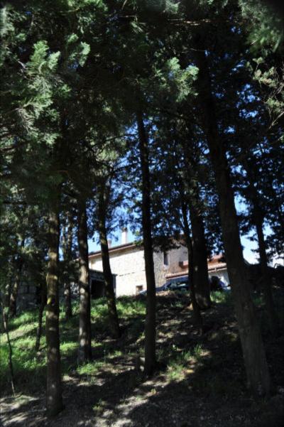 farmhouse to restore for sale in Roccafluvione