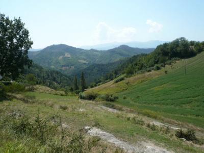 farmhouse to restore for sale in Roccafluvione