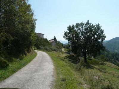 farmhouse to restore for sale in Roccafluvione