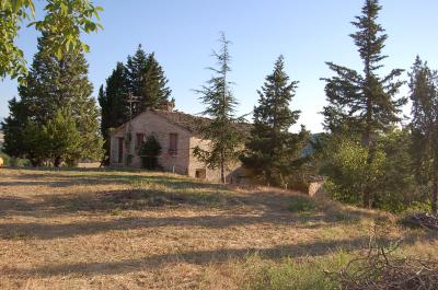 Casa colonica in Vendita a Ripe San Ginesio