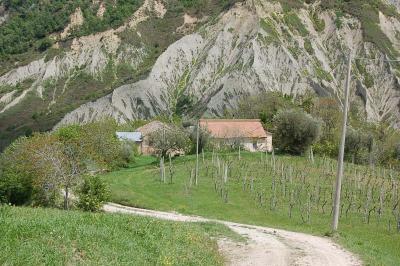 farmhouse to restore for sale in Castignano