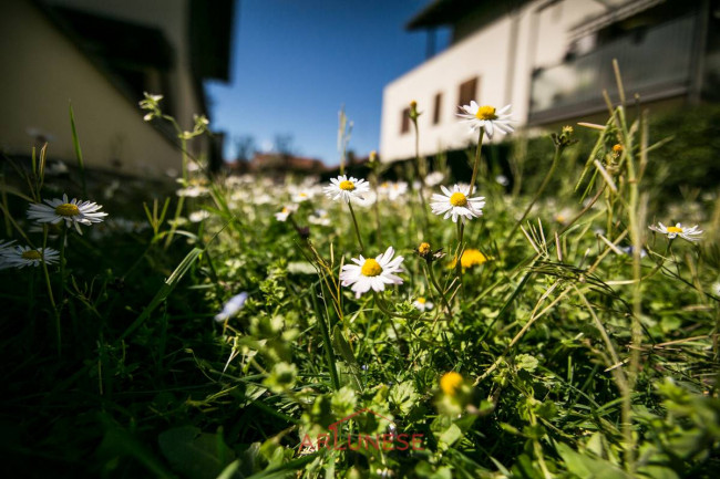 Appartamento in Vendita a Casorezzo