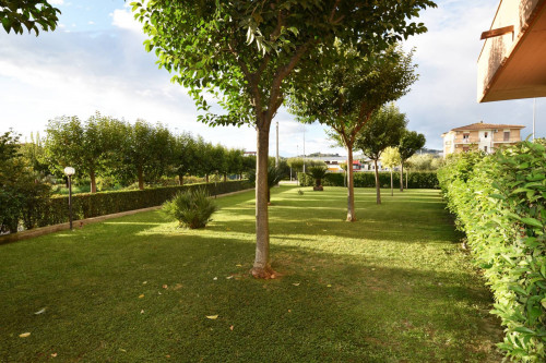 Appartamento in Vendita a Monteprandone