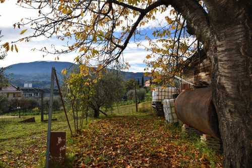 Terreno Agricolo in Vendita a Ascoli Piceno