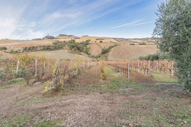 Terreno Agricolo in Vendita a Acquaviva Picena